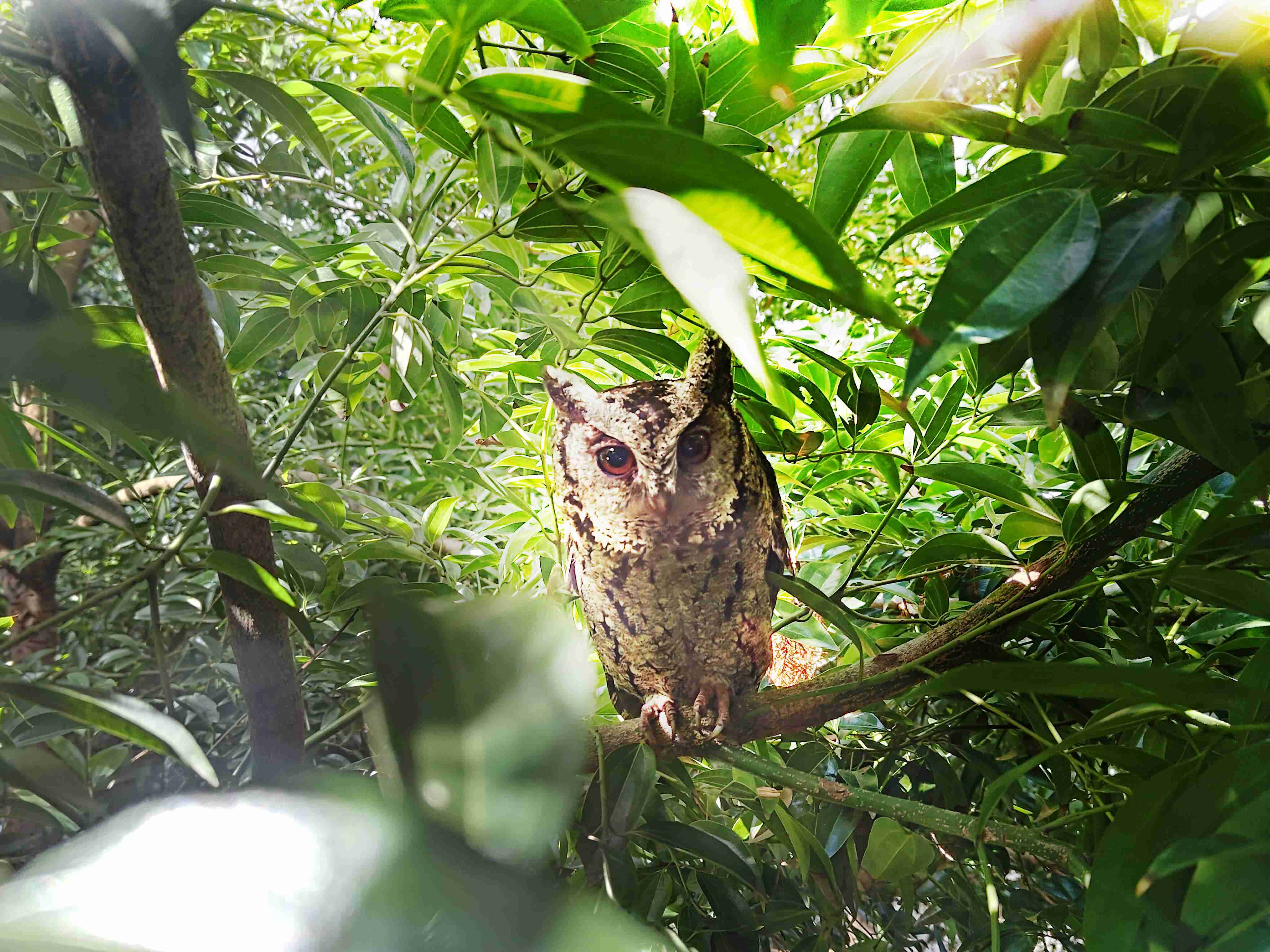 尊龙集团致力提倡净零绿生活，，16年以来在全球各厂区植树逾百万棵，，，，造就各厂区树木蔚然成林，，犹如森林工厂，，，成为许多生物的栖息地